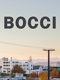 pdf catalog Bocci Lighting 2018